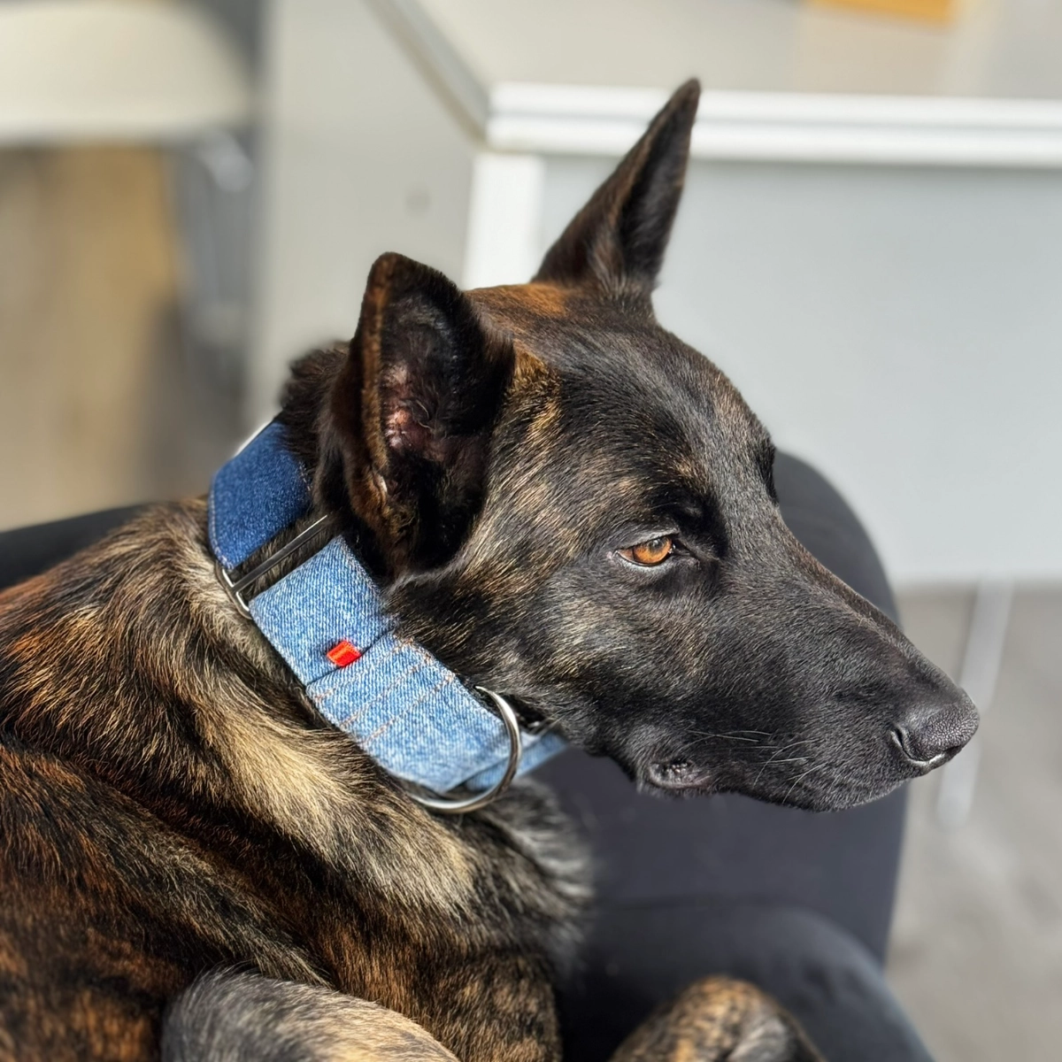 Collar Martingale "Brisa Marina"